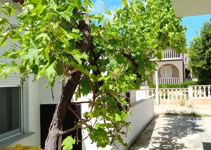 Kata דירה ויר